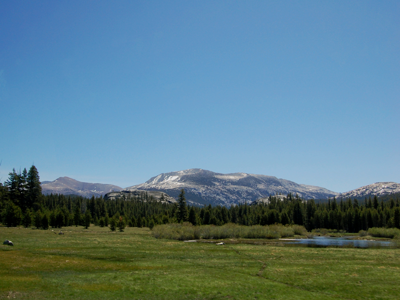 2012.06.06-01555.jpg - USA 2012